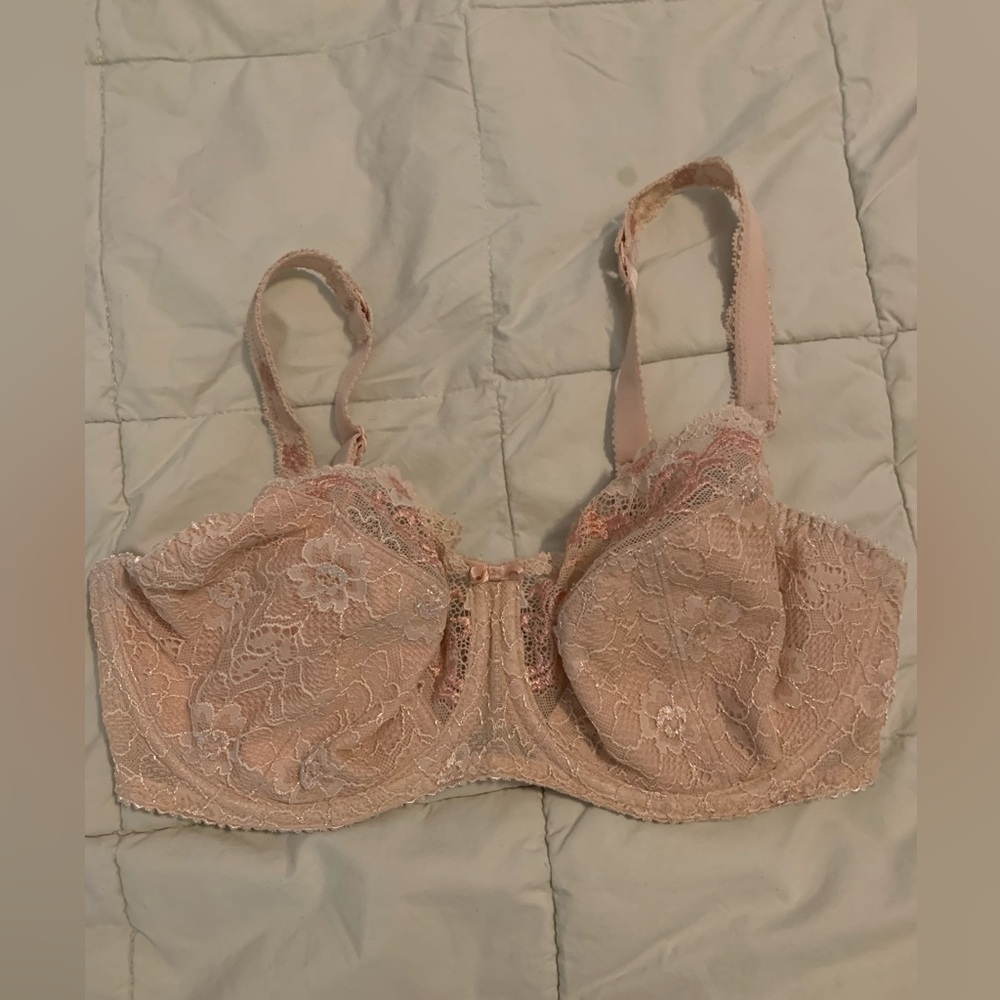 Fantasie Delicate Lace Bra in Blush